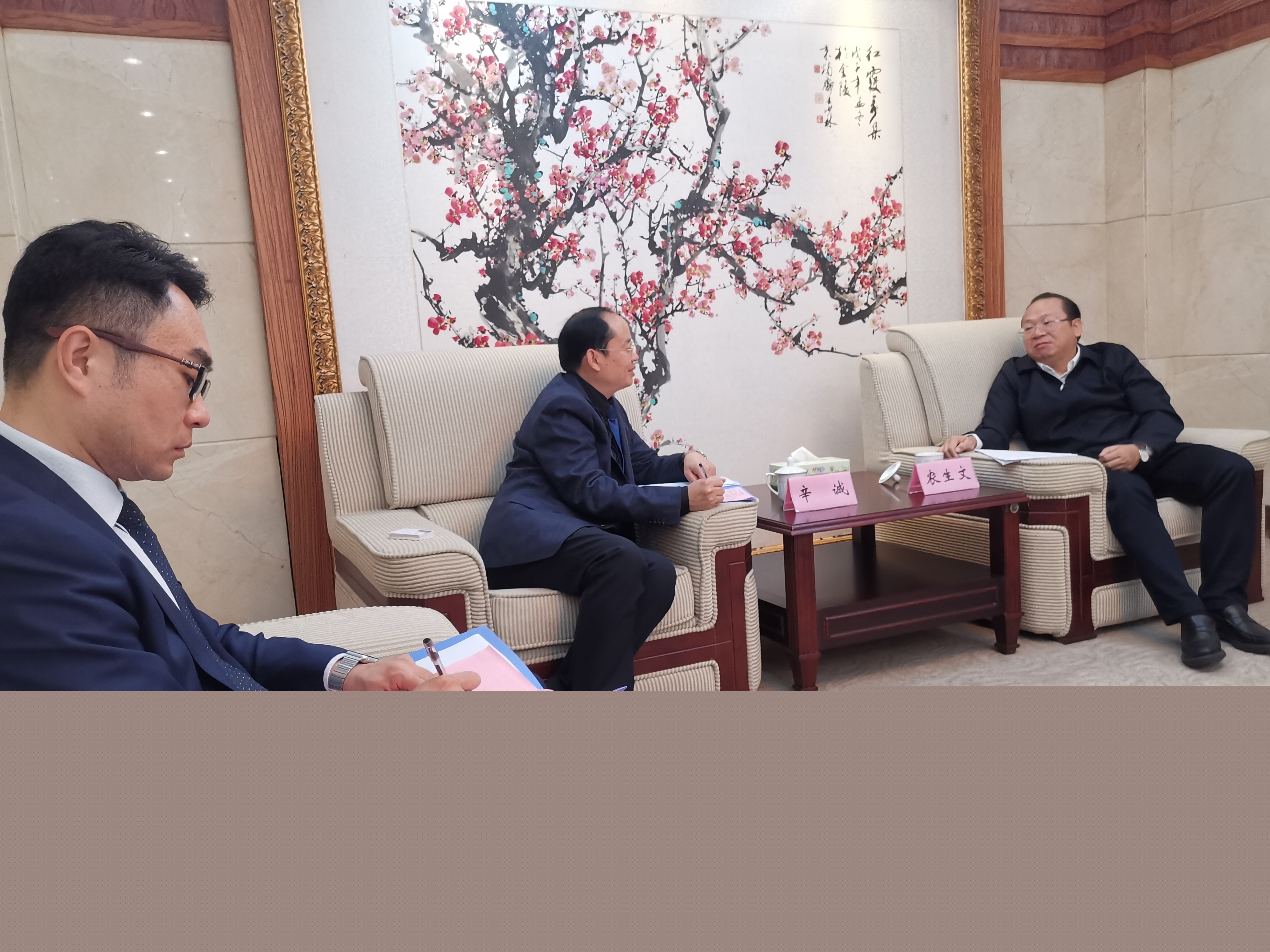 陽光控股教育集團(tuán)高層就來賓市培文學(xué)校的發(fā)展與市委書記農(nóng)生文會(huì)談