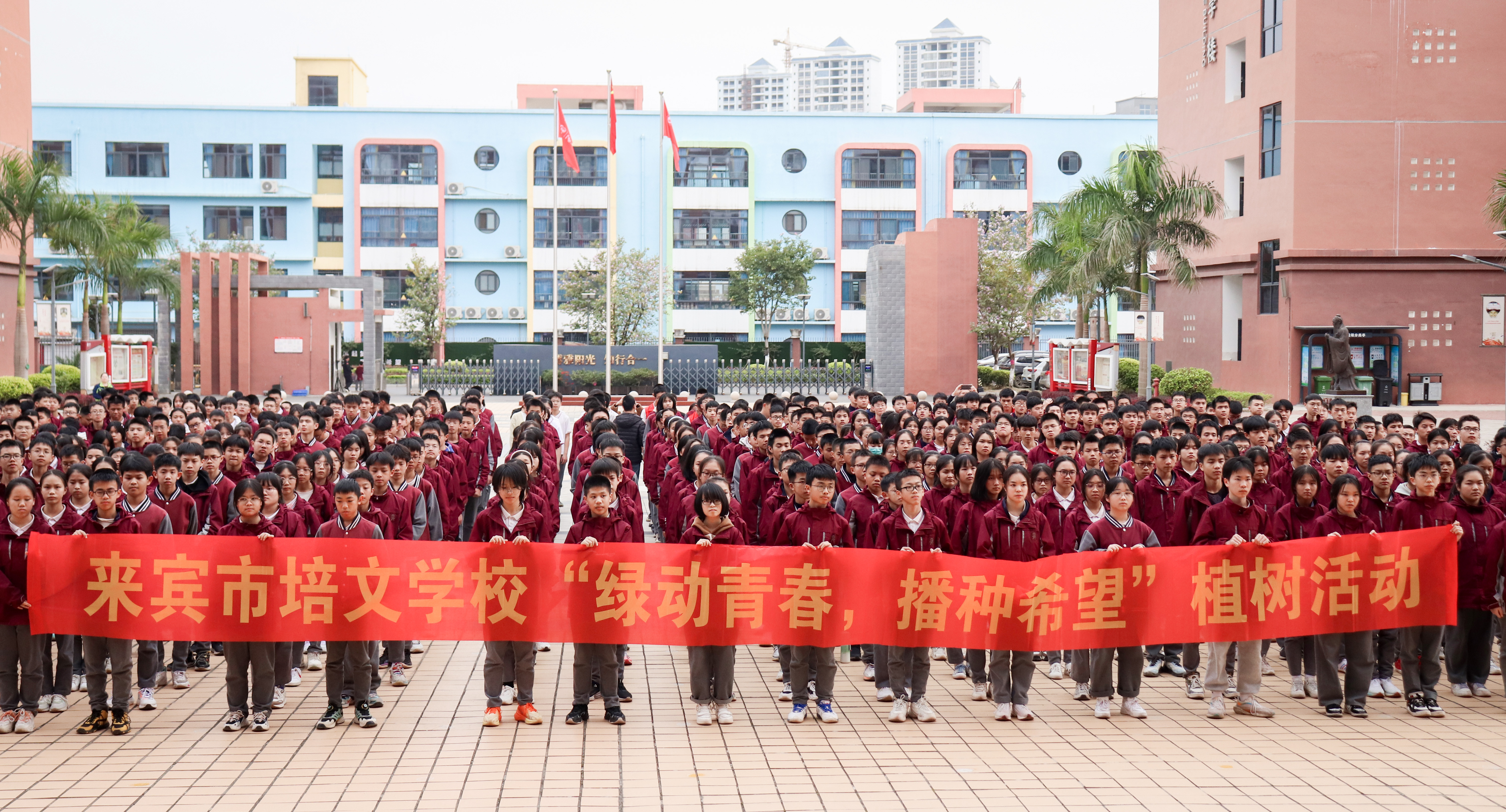 興賓區(qū)委編辦黨支部、來賓培文黨支部開展“互聯(lián)共建，手植春光，守護希望” 主題黨日活動
